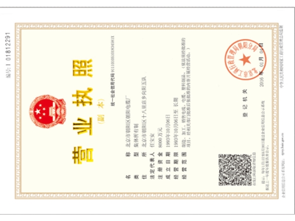 执照